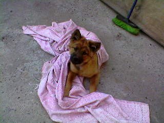 Mi pequeña cosita hermosa ! Mi pequeña cosita hermosa !